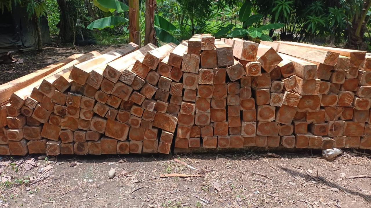 Textura de madera para construcción